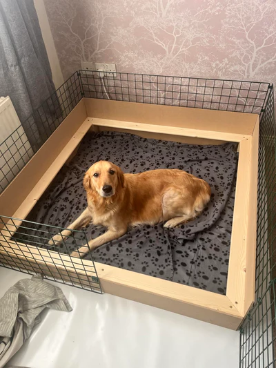 CPD-Accredited Whelping Course (Intermediate to Advanced)